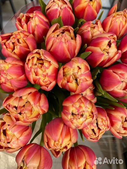 Тюльпаны к 8 марта букет