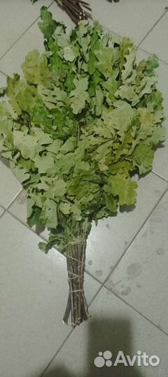 Дубовые веники для бани