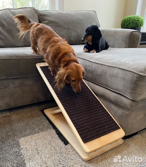 Пандус для собак