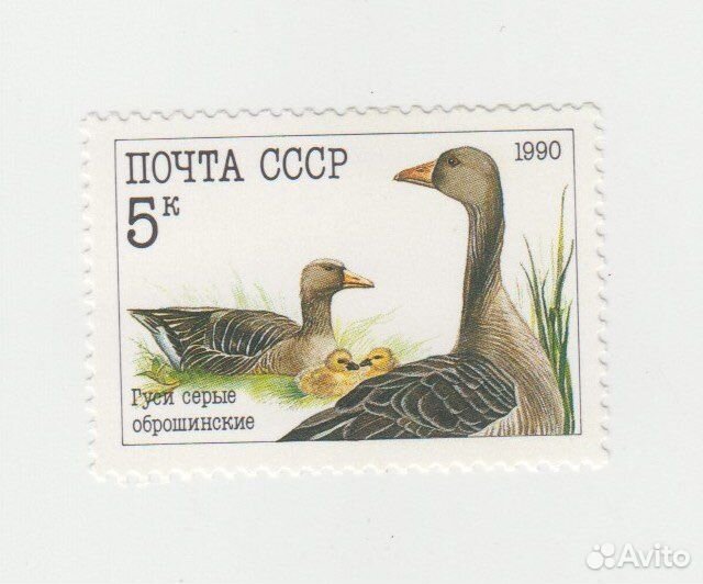 Почтовые марки Фауна Птицы СССР