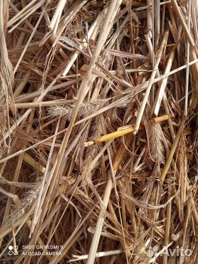 Сено. Солома. Доставка сена