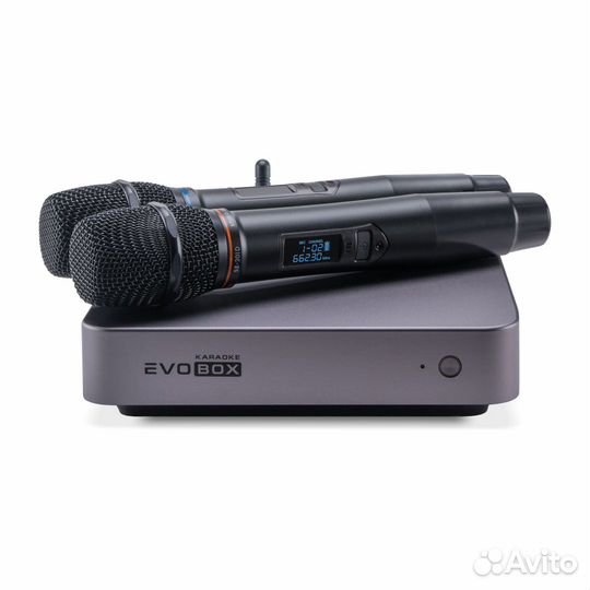 Караоке Evobox Plus Graphite