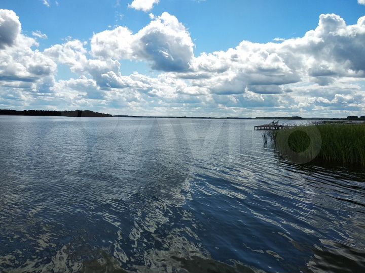 Участок 60 сот. (ИЖС)