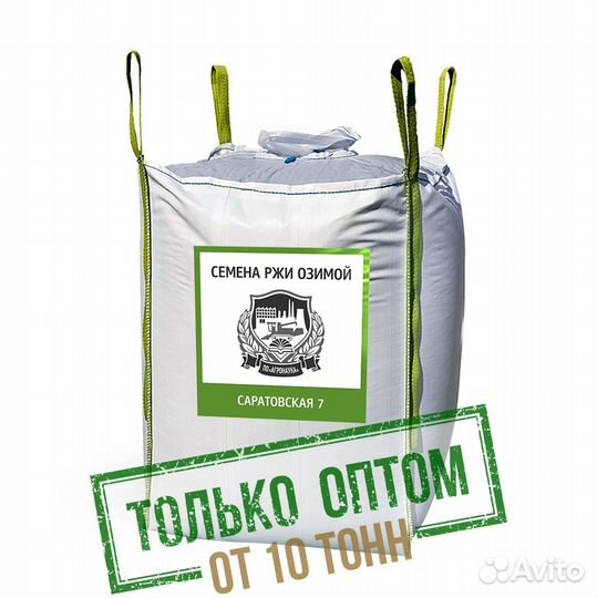 Семена озимой ржи, сорт 