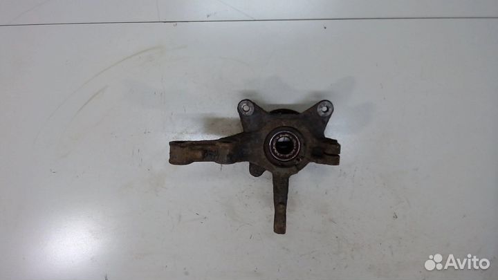 Ступица (кулак, цапфа) Renault Kangoo, 2010