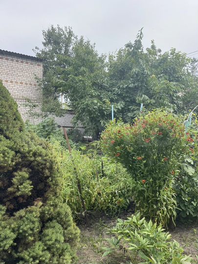 Дача 70 м² на участке 6 сот.