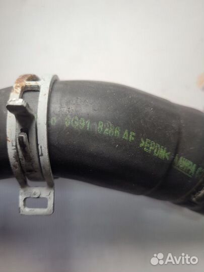 Патрубок радиатора Ford Mondeo IV (2006—2010)