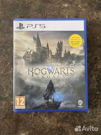 Hogwarts Legacy ps5