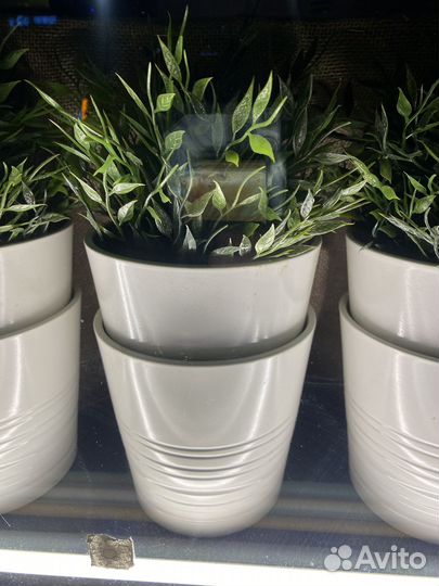 Горшок кашпо Икея