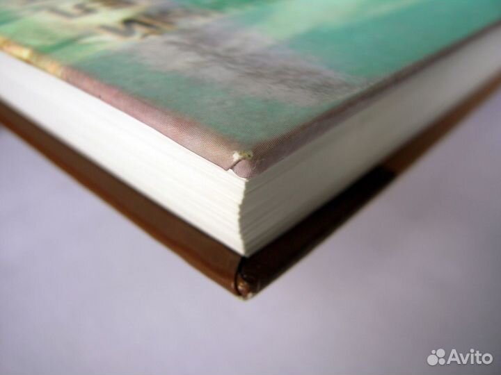 Мосеев А.Е. Диверсионный отдел действует