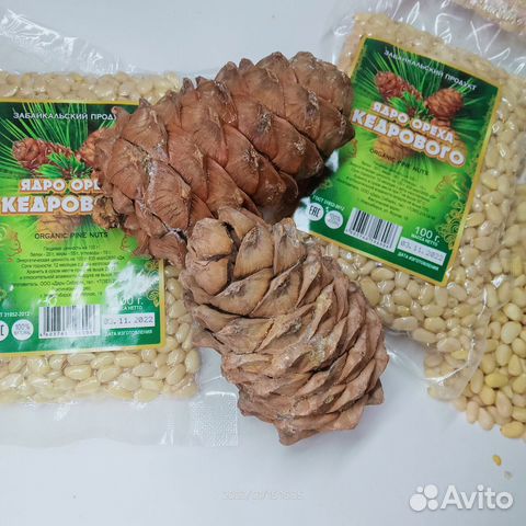 Очищенные кедровые орехи