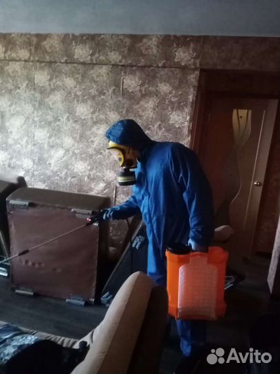 Уничтожение тараканов,клопов,обрaботкa от вирусoв