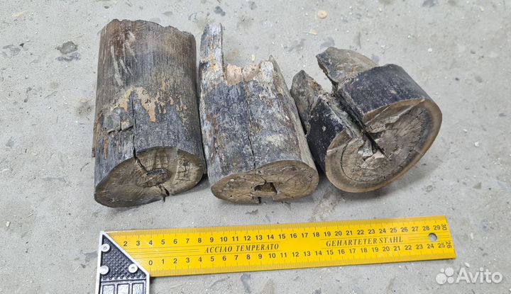 Бивень мамонта