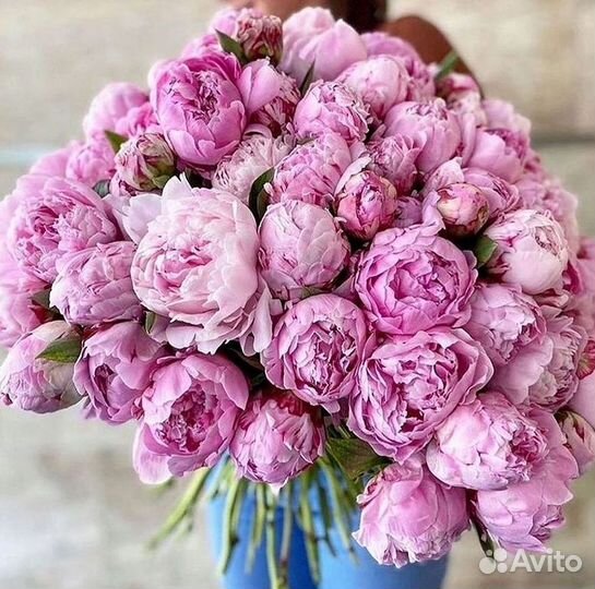 Пионы Розы Доставка