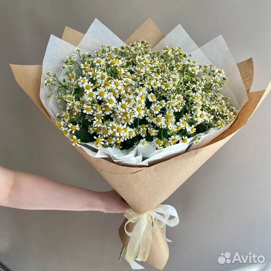 Ромашки букеты цветы