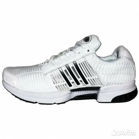 Кроссовки Adidas Climacool