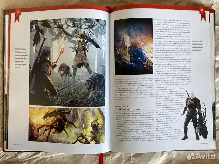 Мир Ведьмака