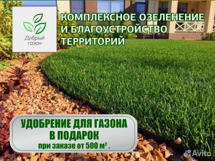 Рулонный газон с укладкой