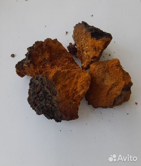 Иван-чай ферментированный. Сбор 2023