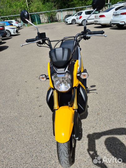 Honda Zoomer X 110