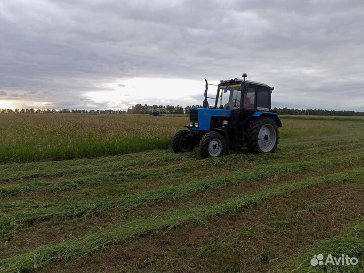 Сено в рулонах разнотравье, люцерна, костер