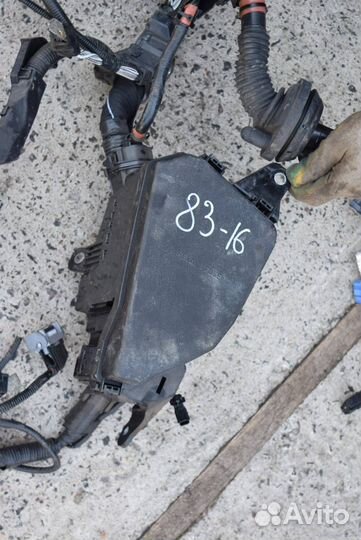 Проводка подкапотная Toyota RAV4 5 (XA50) 2020