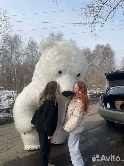 Поздравление от медведя-гиганта