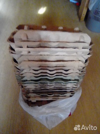 Ячейки для куриных яиц