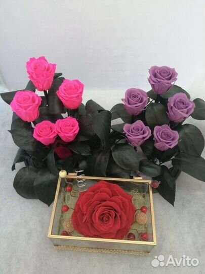 Роза в колбе