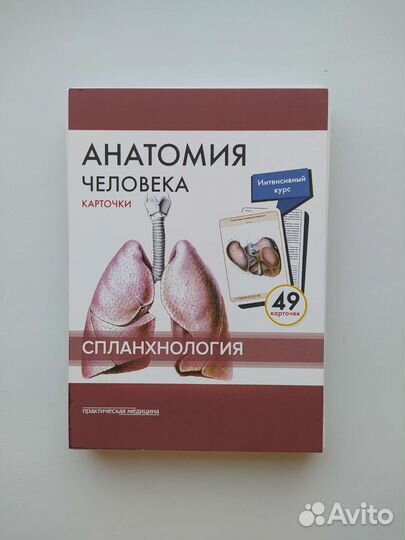 Анатомия человека