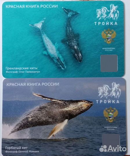 Транспортная карта киты