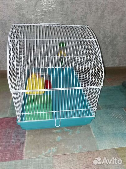 Клетка для грызунов