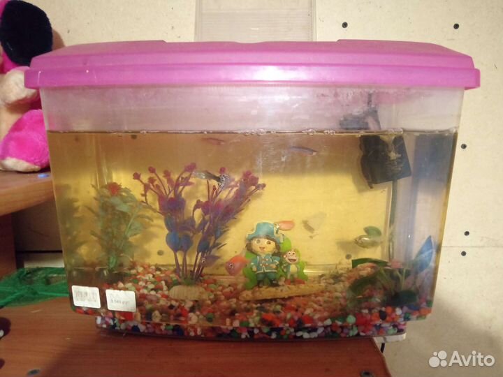 Аквариум
