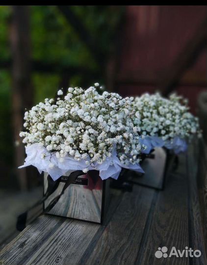 Гипсофила, композиция из живых цветов в коробочке