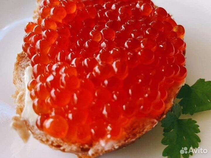 Икра красная кеты 2023