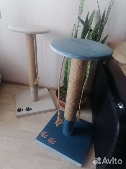 Когтеточка