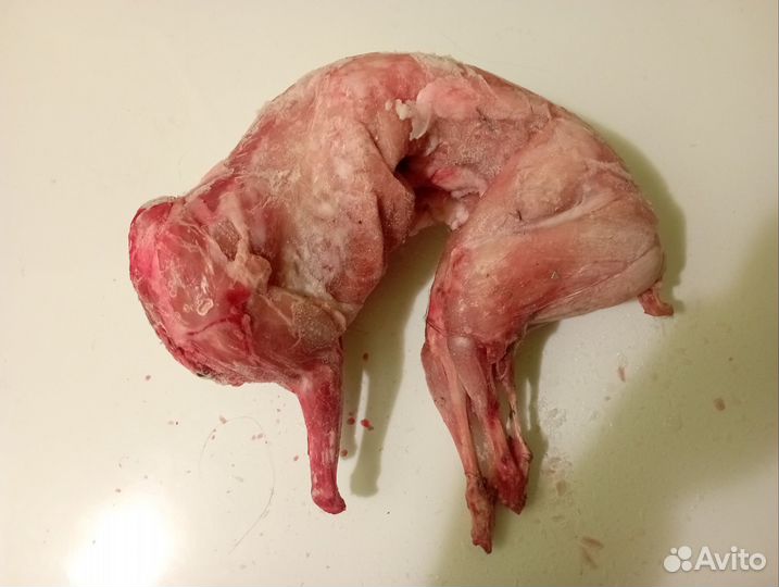 Продам мясо кролика