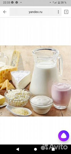 Молочные продукты