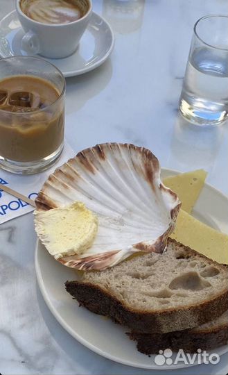 Ракушки для сервировки, декора