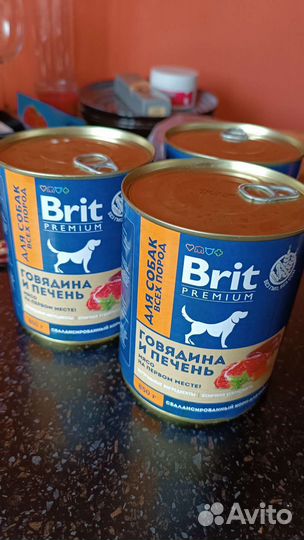 Корм для собак