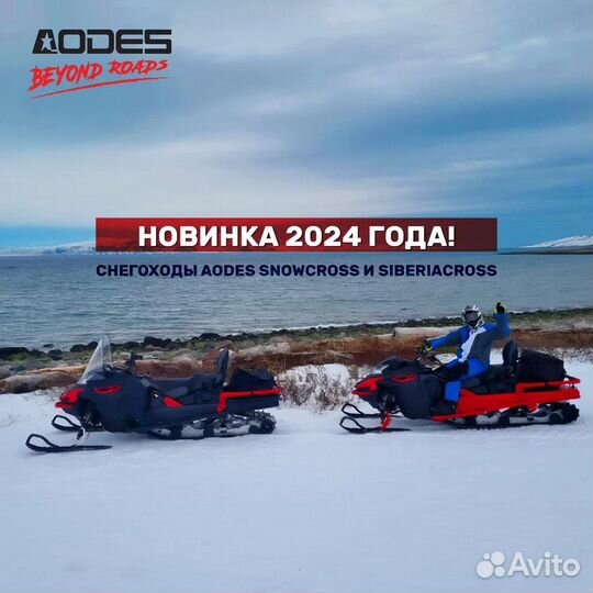 Снегоход aodes SnowCross 1000 WT
