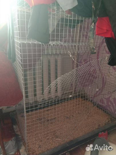 Клетка для грызунов очень большая
