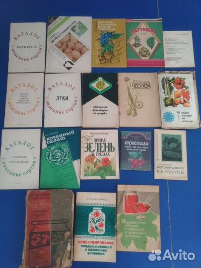Сад огород цветы плодовые деревья овощи СССР