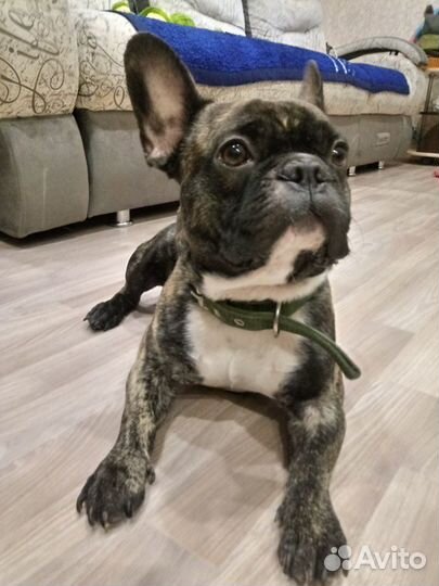 Ищем подругу