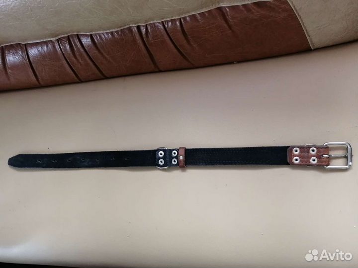 Ошейник для собак