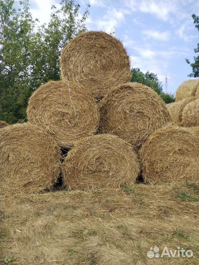 Продам пшеничную солому
