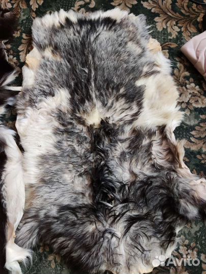 Шкуры козы