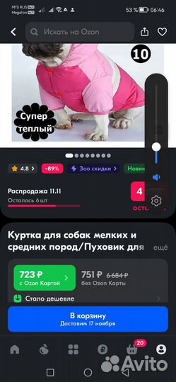 Одежда для животных