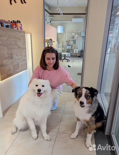 Груминг-салон/зоомагазин в Севкабель Порт