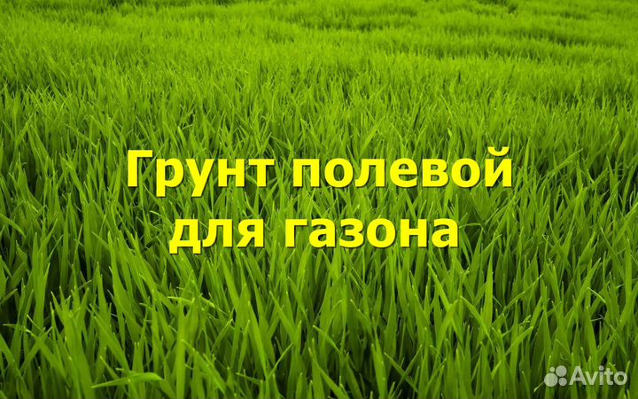 Грунт полевой